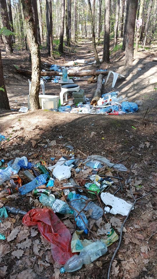 Składowisko śmieci w lesie