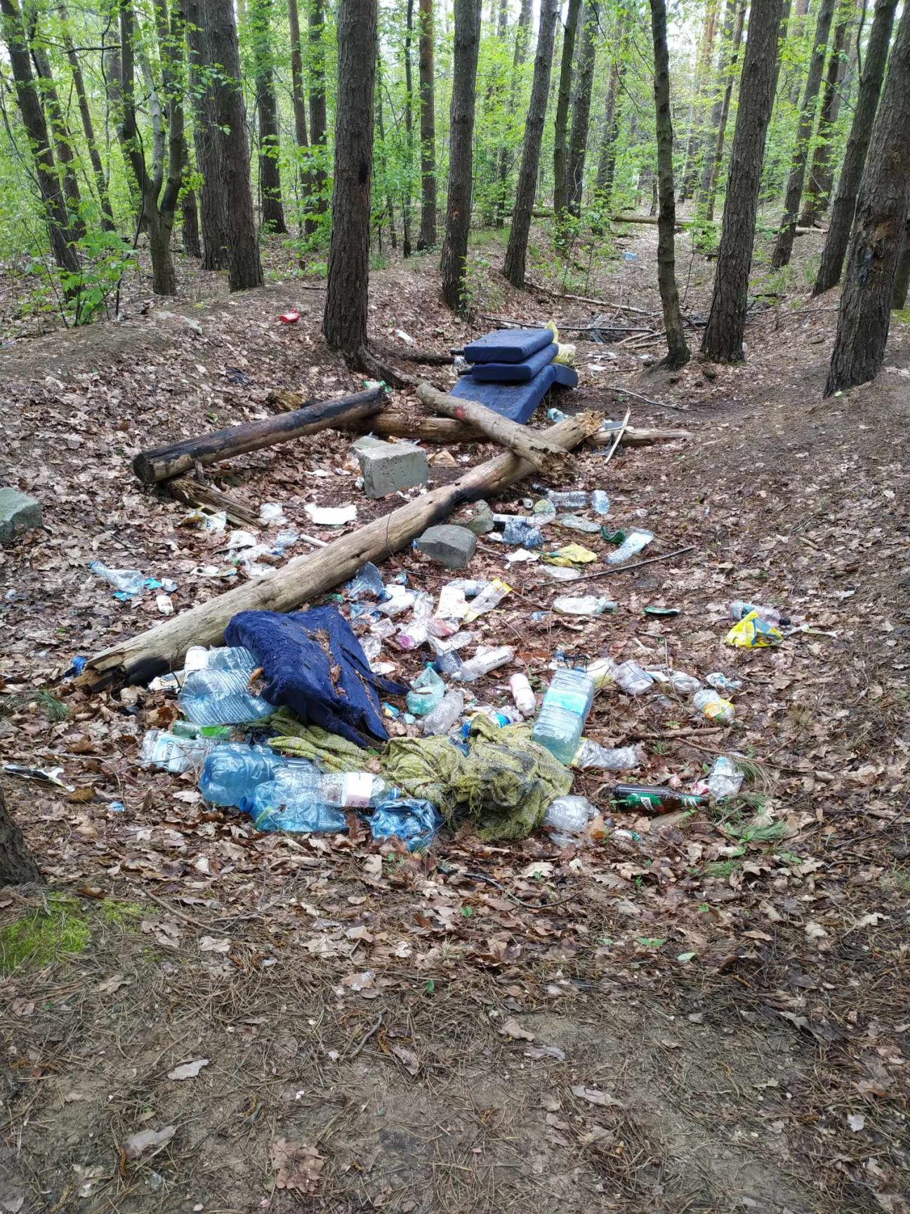 Śmieci w lasku między ulicami Halin i Lasek Sosnowy