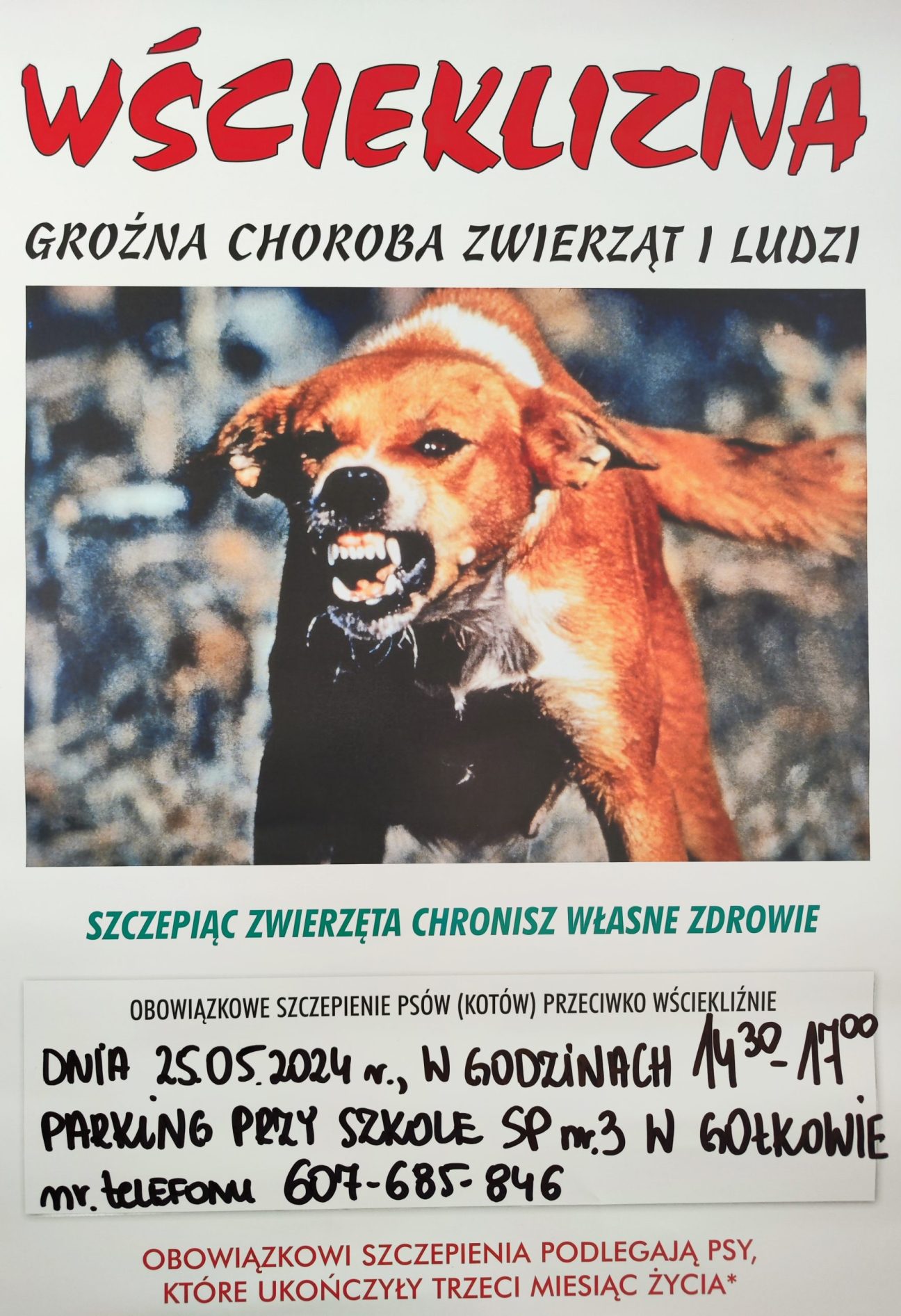 Szczepienie przeciw wściekliźnie