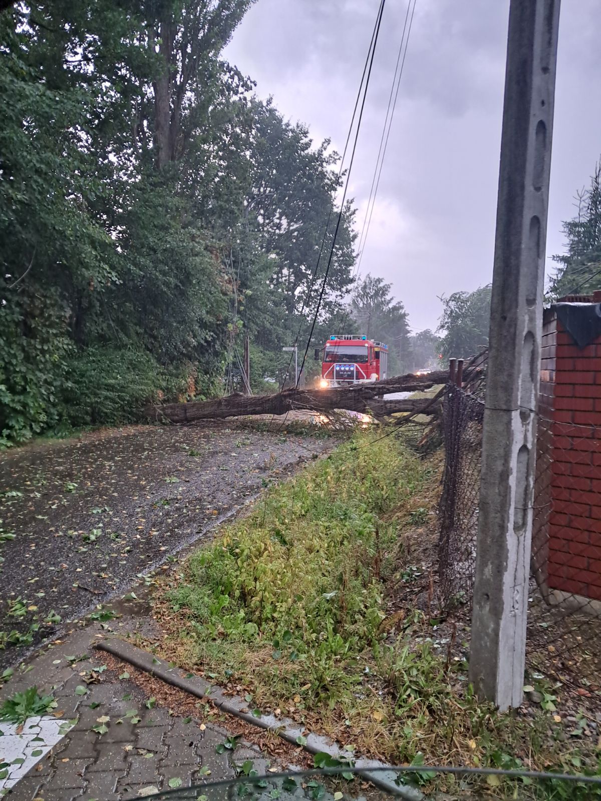 Przewrócone drzewo nad ulicą Północną, w tle wóz strażacki