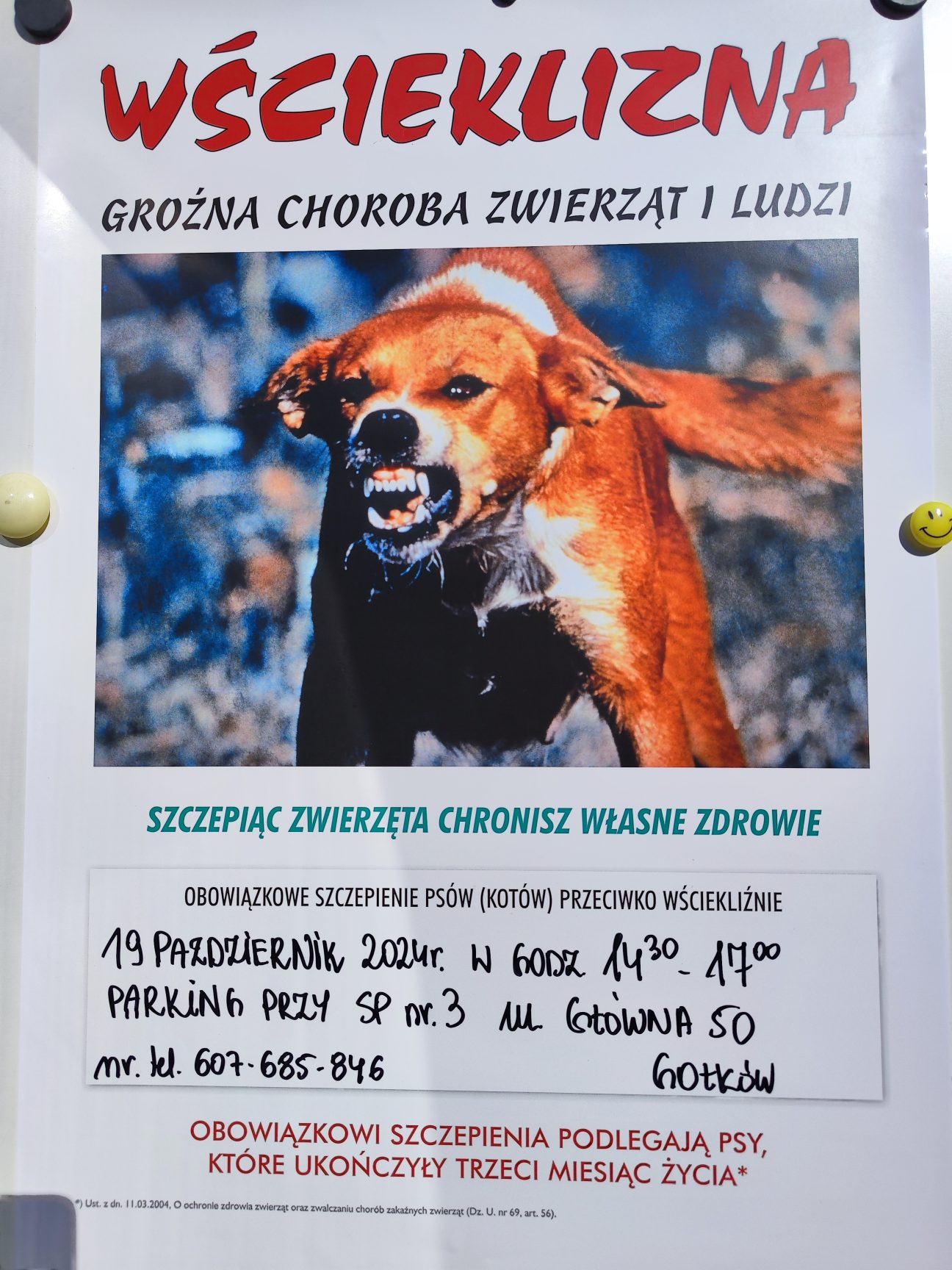 Szczepienia przeciwko wściekliźnie