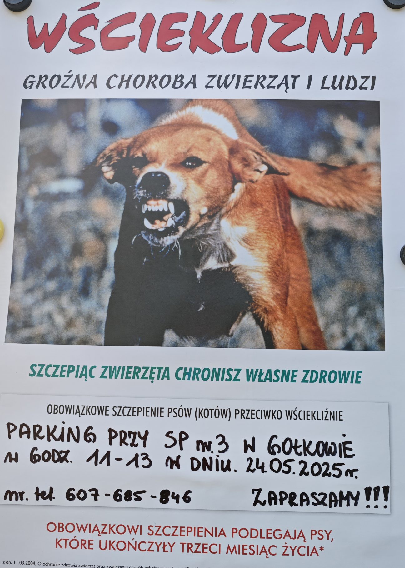 Plakat o szczepieniu przeciw wściekliźnie