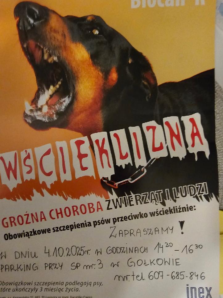 Plakat informacyjny o szczepieniu przeciw wściekliźnie